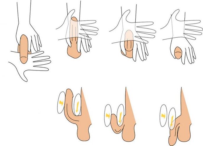 melenturkan penis untuk memperbesarnya
