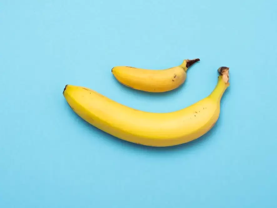penis kecil dan membesar dengan kemegahan pada contoh pisang